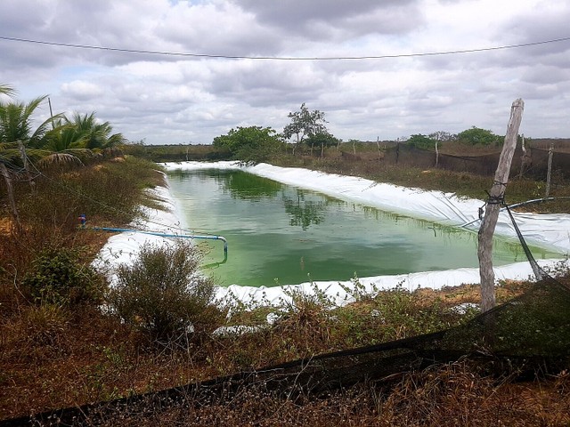 VENDE FAZENDA MARAVILHA  