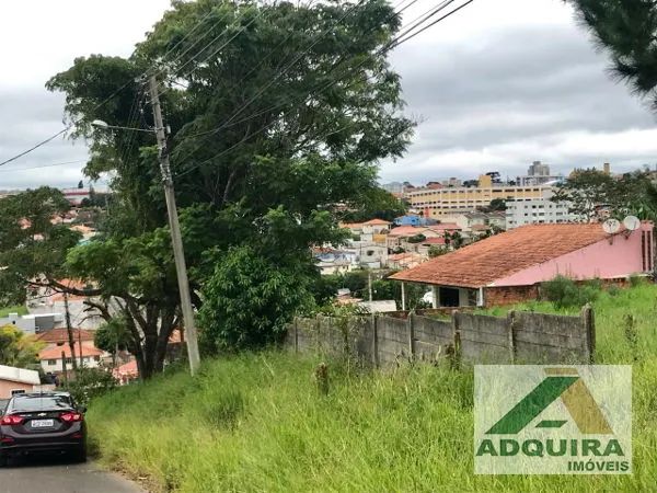 Terreno em rua - Bairro Orfãs em Ponta Grossa - Foto 3