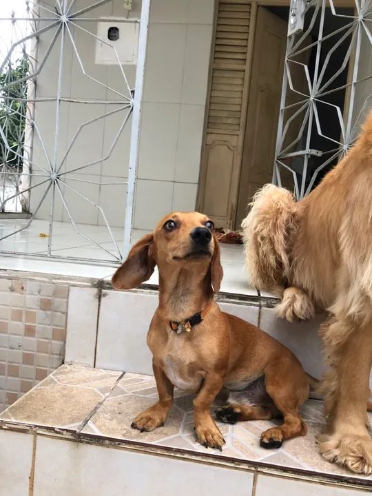 Procuro namoradinha ? - Foto 3