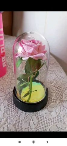 Rosa bela e a fera encapsulada 15cm 
