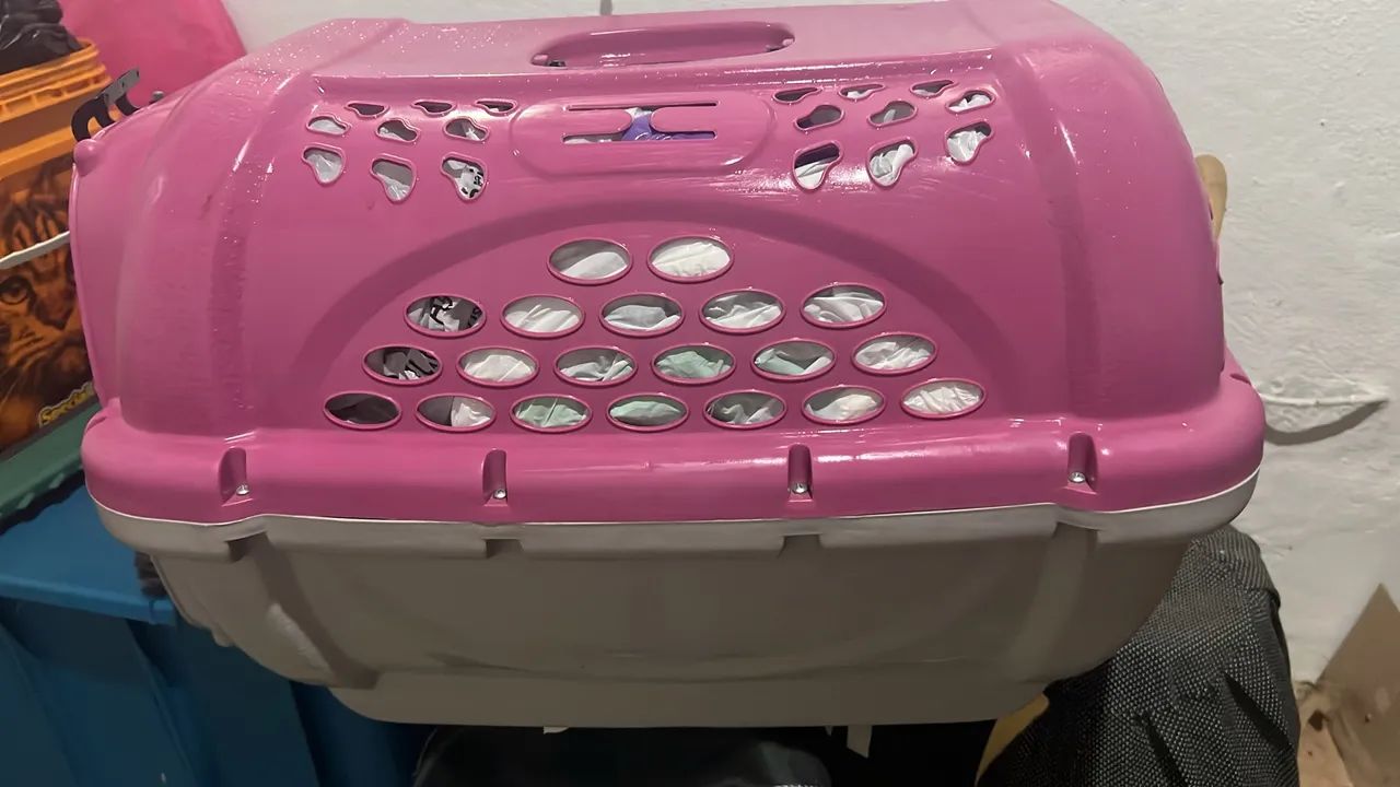 Caixa Transporte n04 - Foto 4