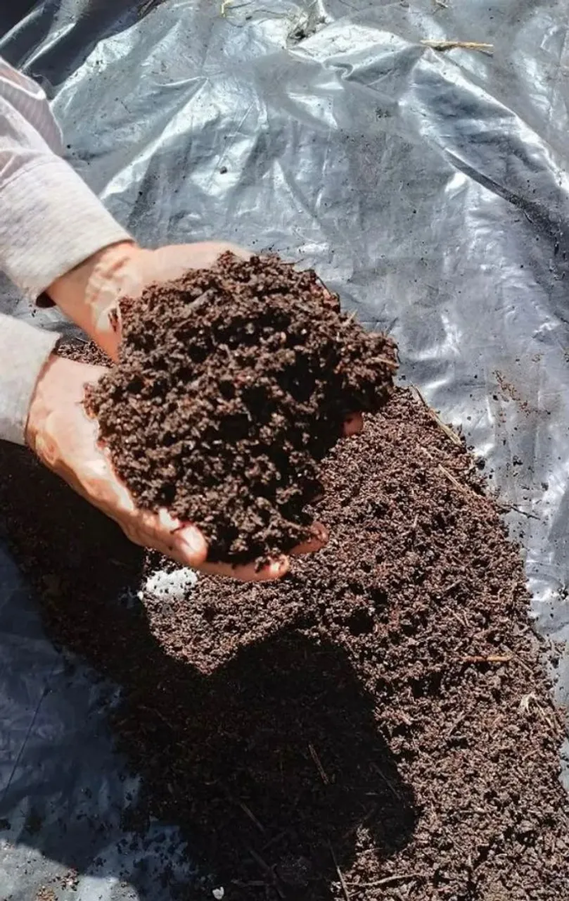 Esterco bovino alto padrão orgânico ótimo em nutrientes para seu solo sua planta ortalice