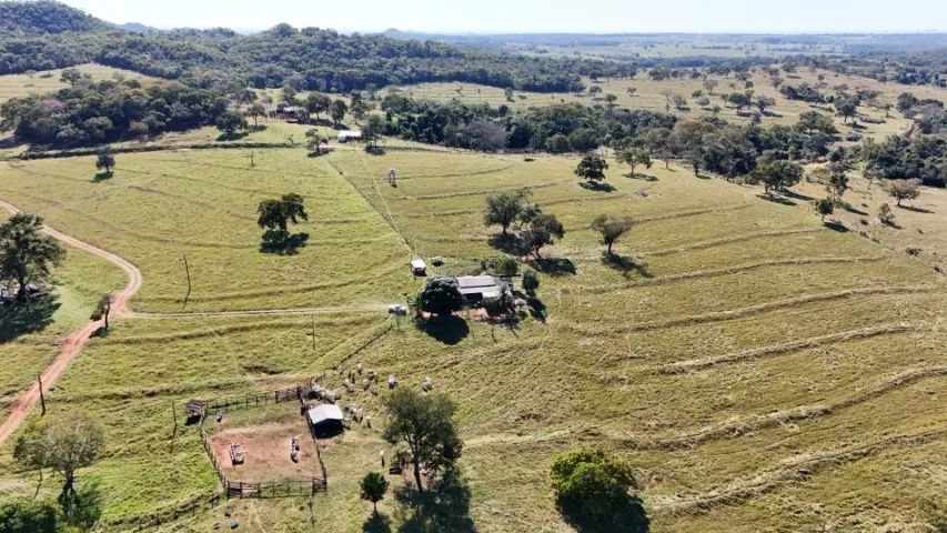 Fazenda de 204 Hectares São Gabriel do Oeste! - Foto 2