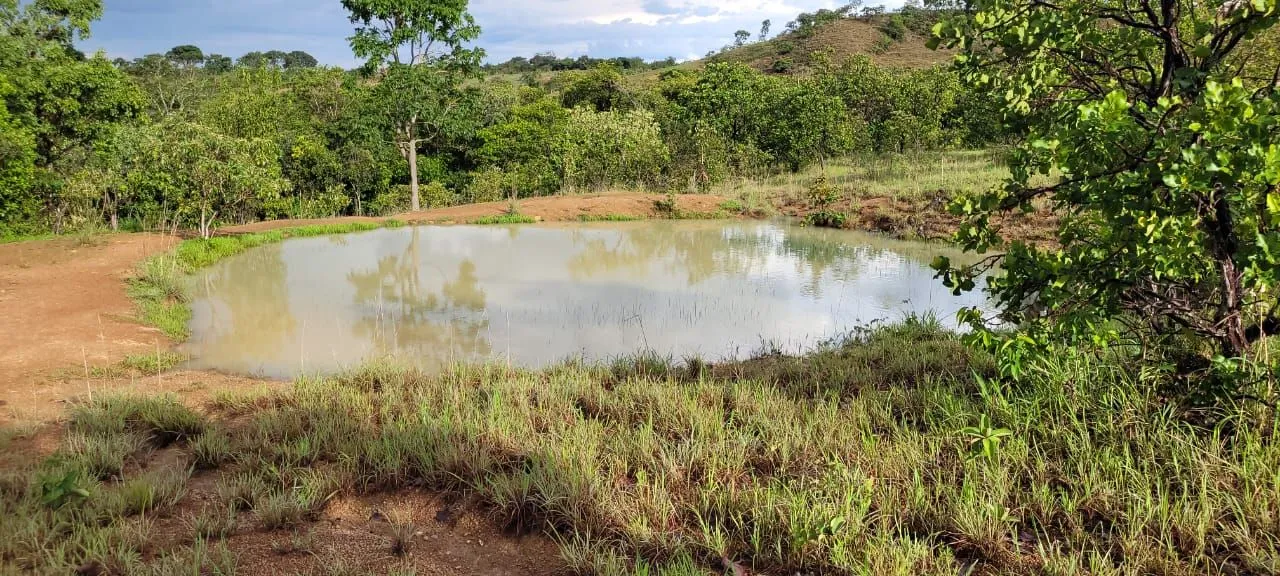 Sítio com ampla área verde e pastagem.