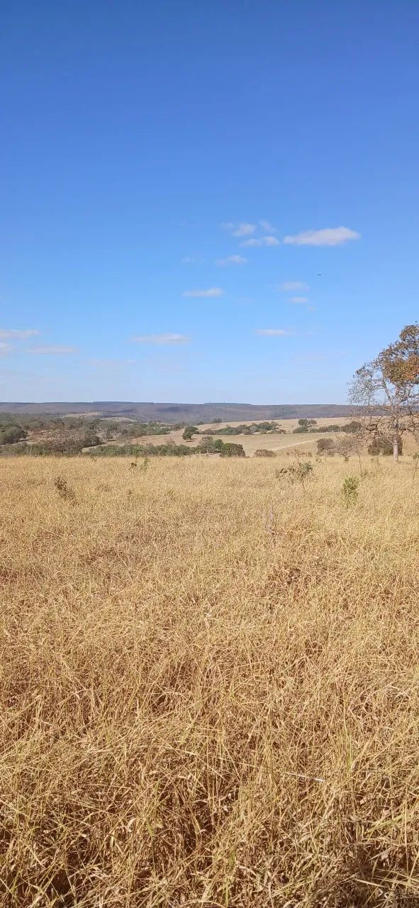 Fazenda Disponível pra Venda......No Estado de Goiás........No município de Luziania. Goiá - Foto 4