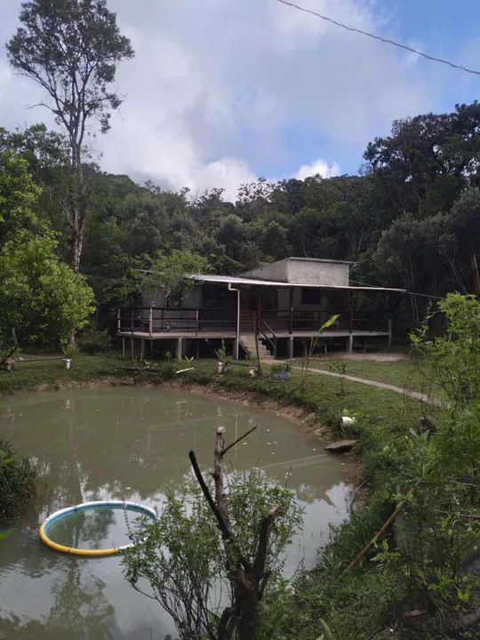 Lindo 1 alqueire paulista 247 mil reais *