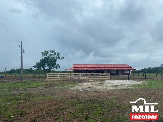 Fazenda em Floresta do Araguaia-PA. . 165 Alq. (800 Há) - Foto 5