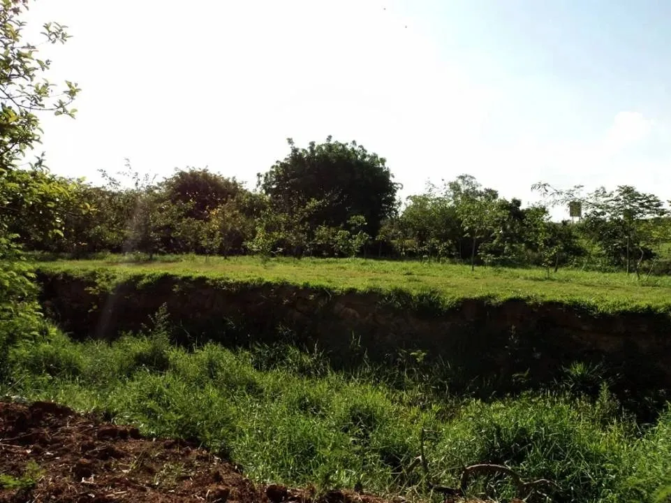 Venda - Área - Parque Olaria - Santa Bárbara D'Oeste - SP