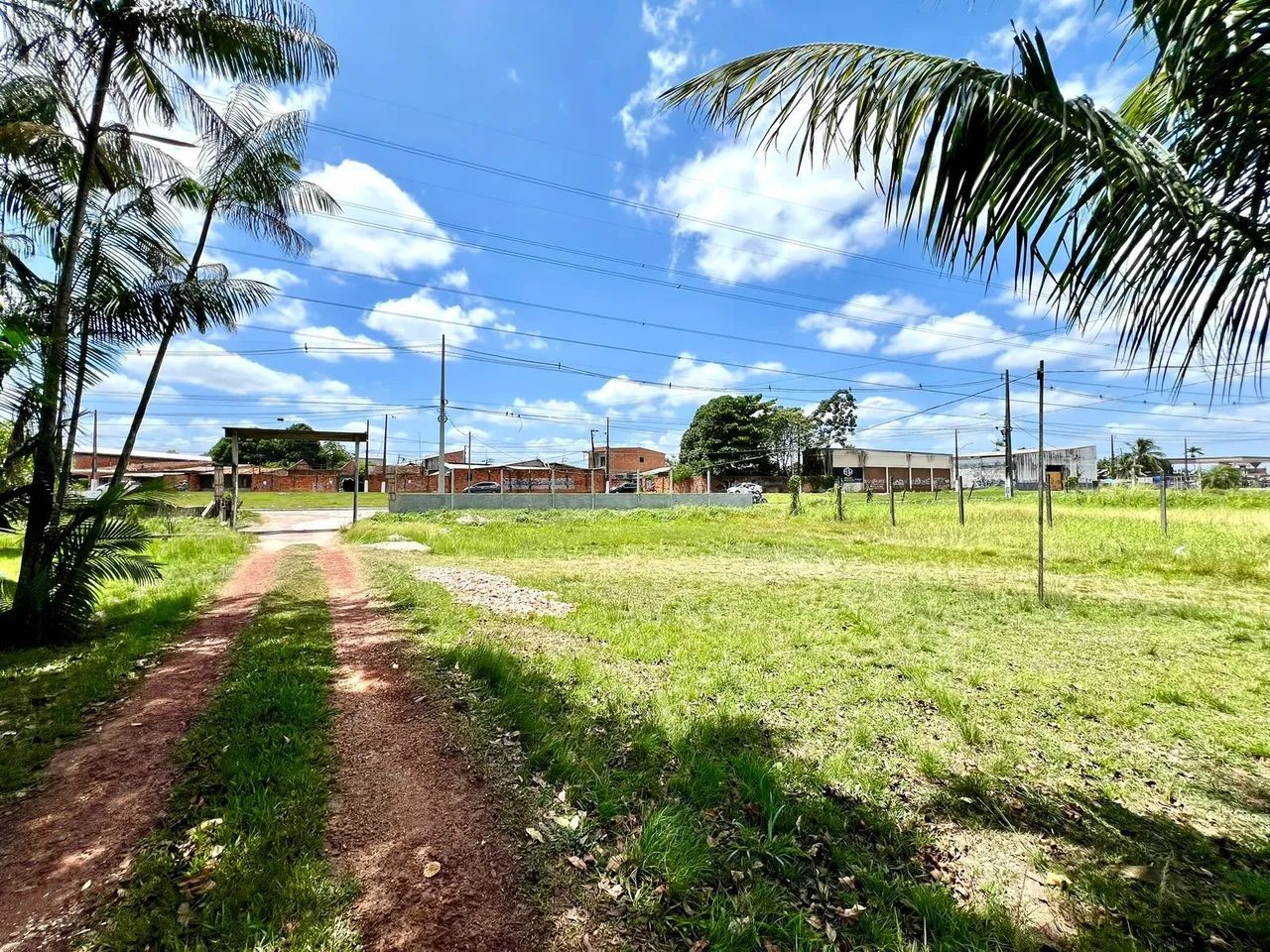 Sítio, 10.000m², 4/4 na Av. Independência  - Foto 3
