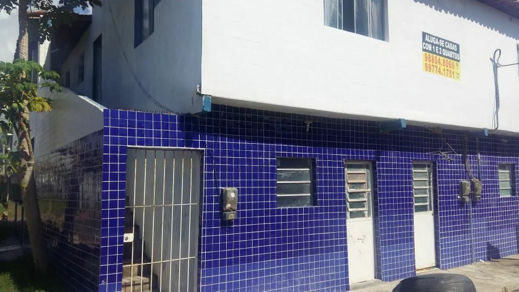 foto - Paulista - Pau Amarelo