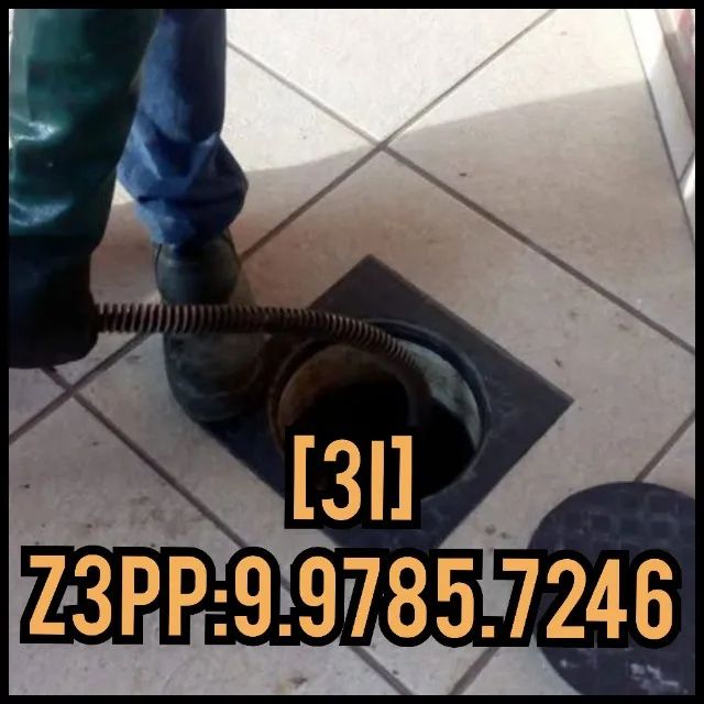 Desentupidora em Mário Campos 