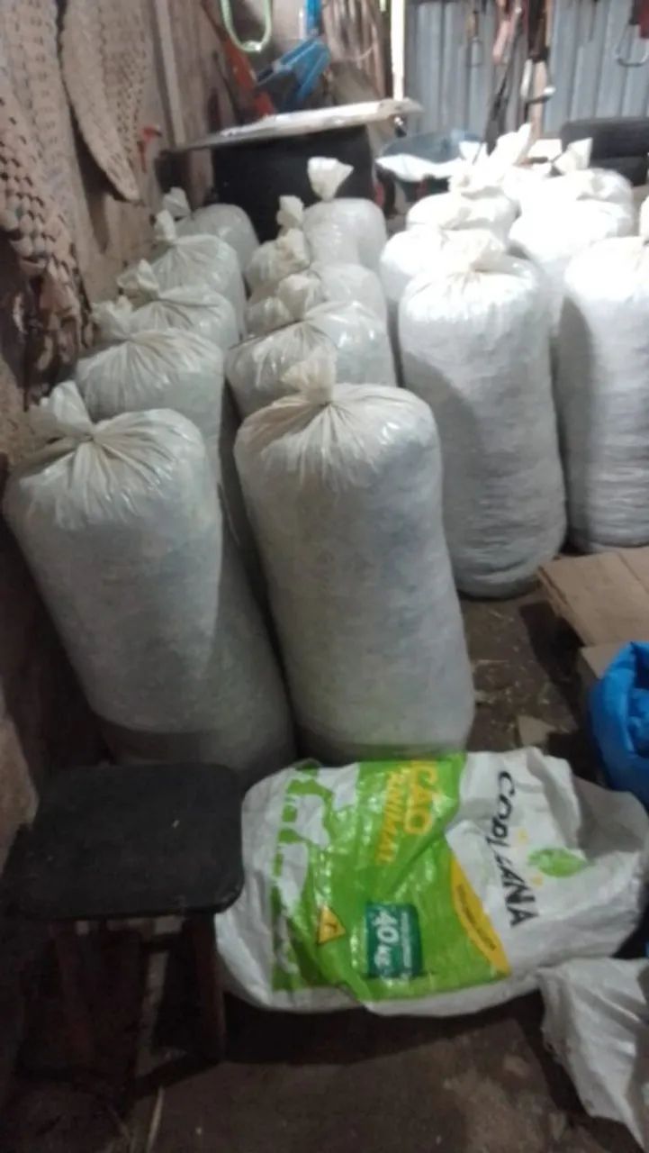 Vendo Silagem de milho de 30 a 40kg