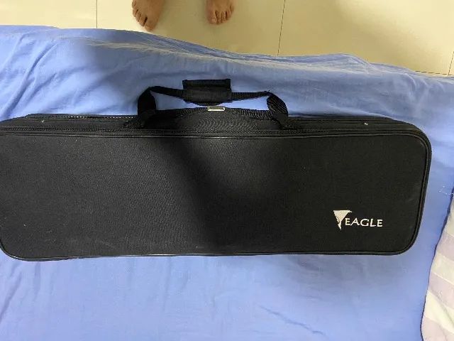 Violino 4/4 Eagle Ve 441 Ajustado Com Estojo Luxo Retangular - Foto 3