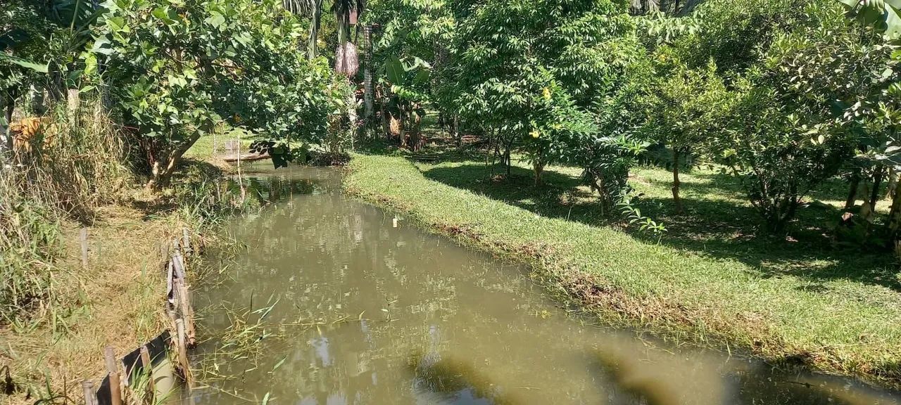  VENDA OU TROCA POR APARTAMENTO SITIO FAZENDINHA BIGUAÇU  - Foto 3