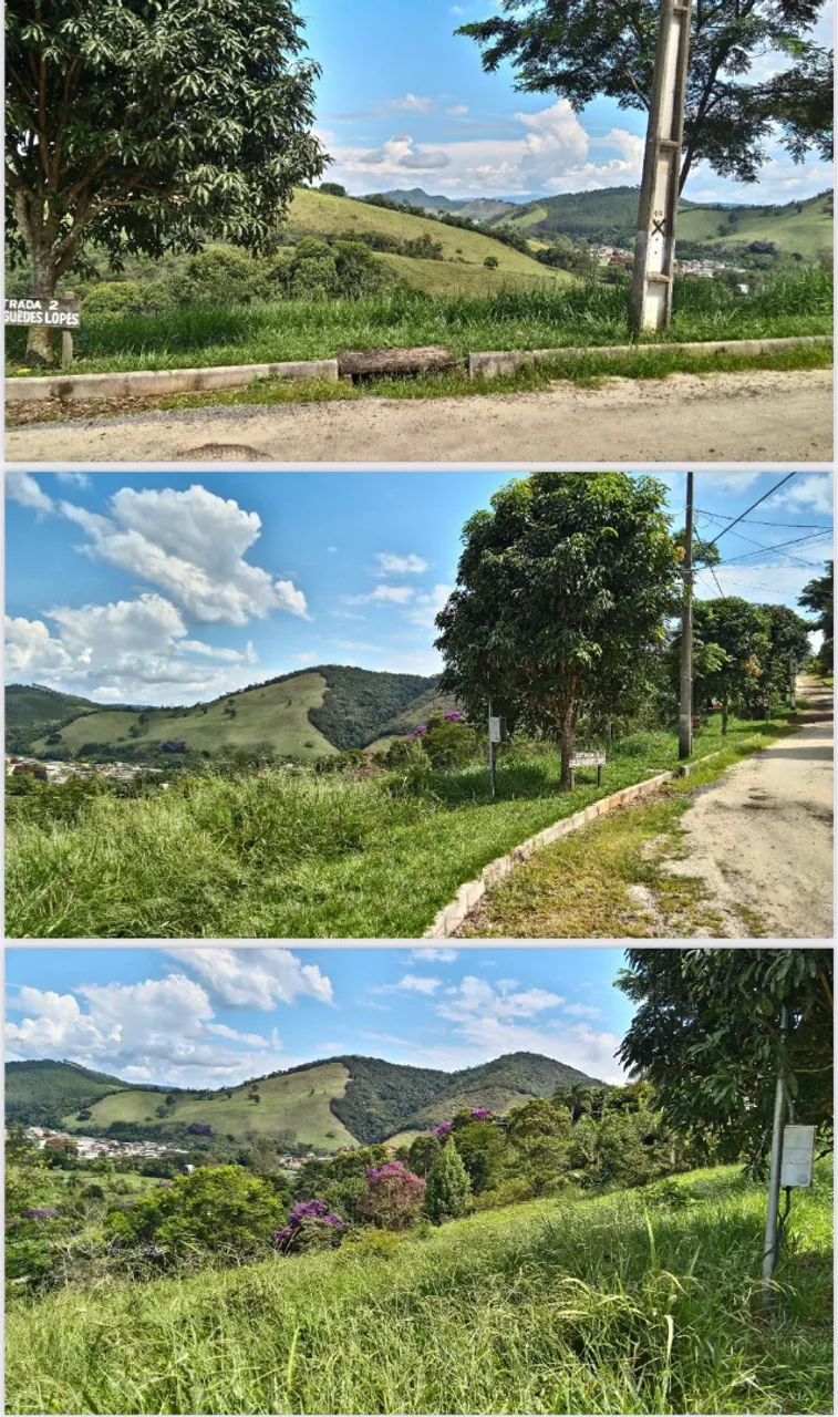 Foto - Juiz de Fora - Benfica
