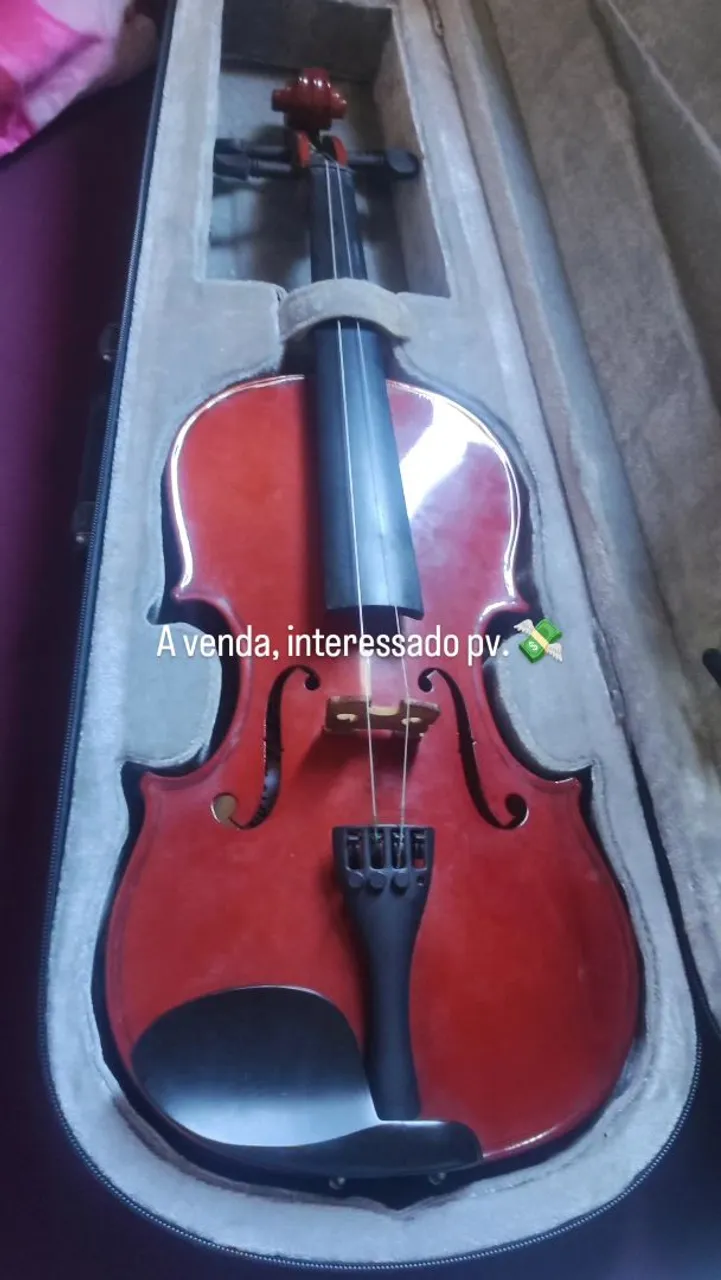 Violino semi novo