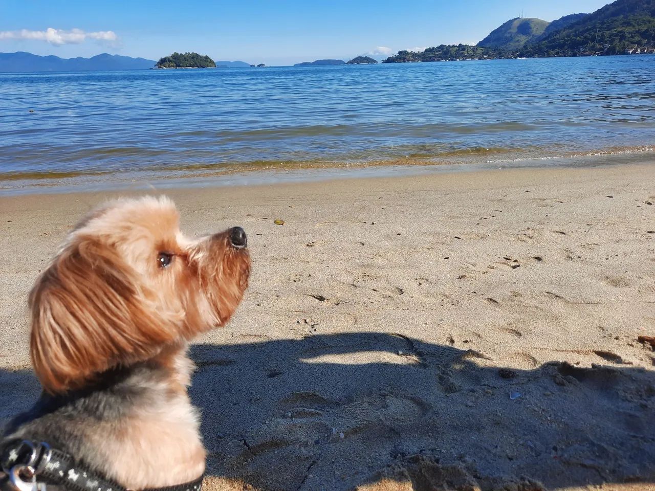 Aluguel de casa por temporada  - Foto 10