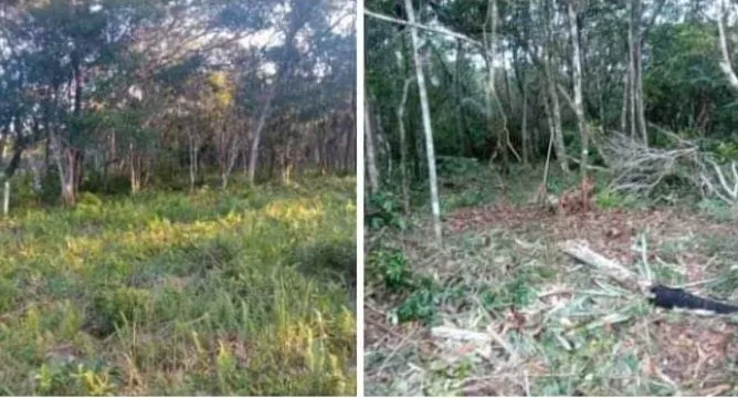 endo terreno áea rural próximo ao centro de Iguape. 