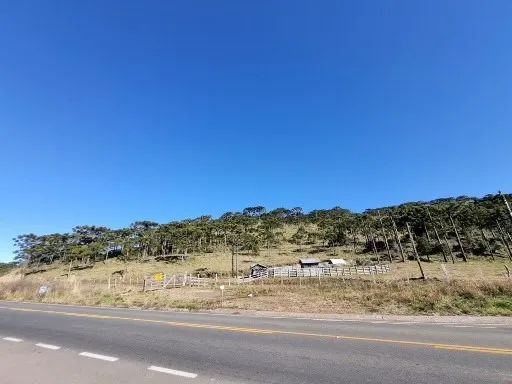 Terreno rural com 128 hectares em São Joaquim-SC - Foto 3