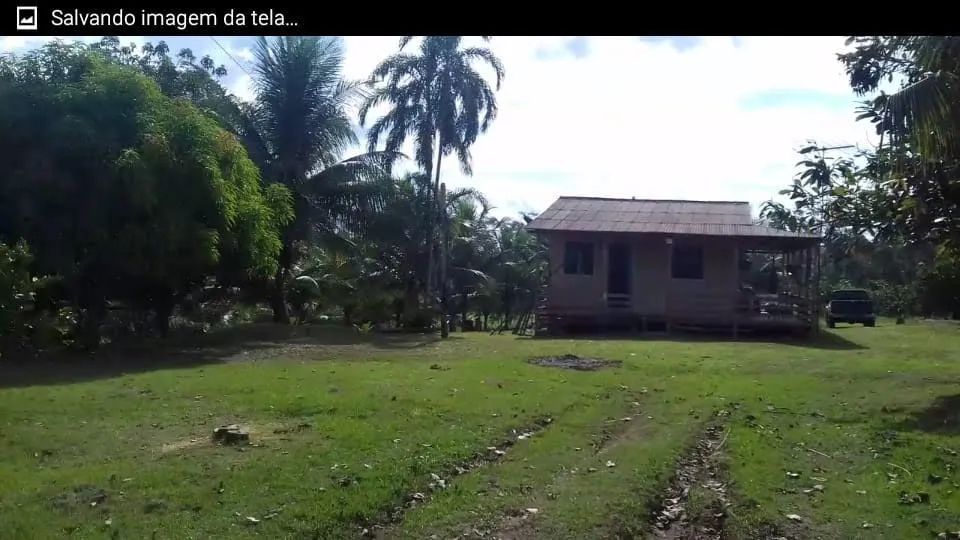 SITIO PRODUTIVO - Foto 2
