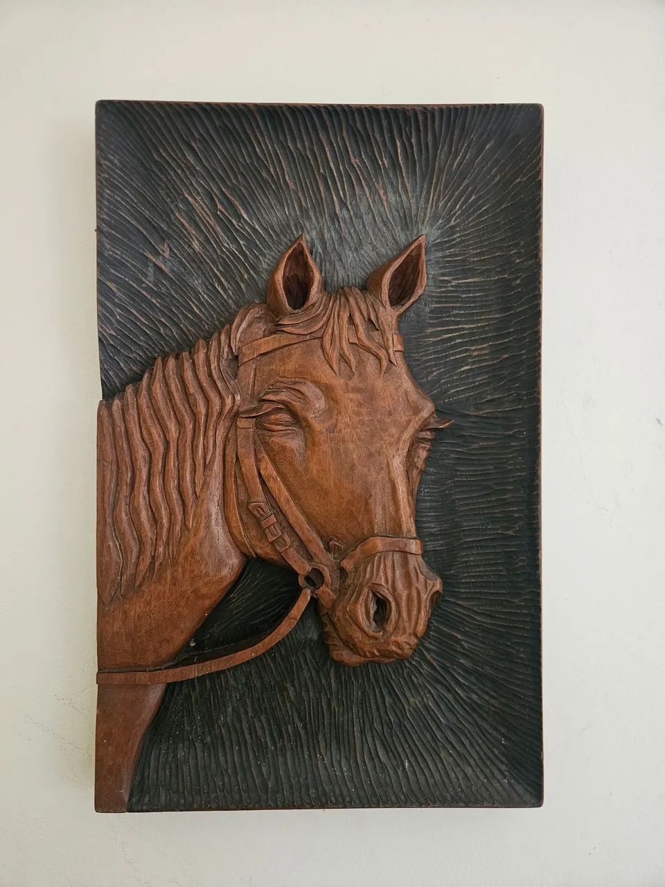 Cabeça de cavalo 