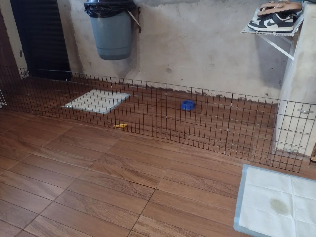 Para pets - Foto 2