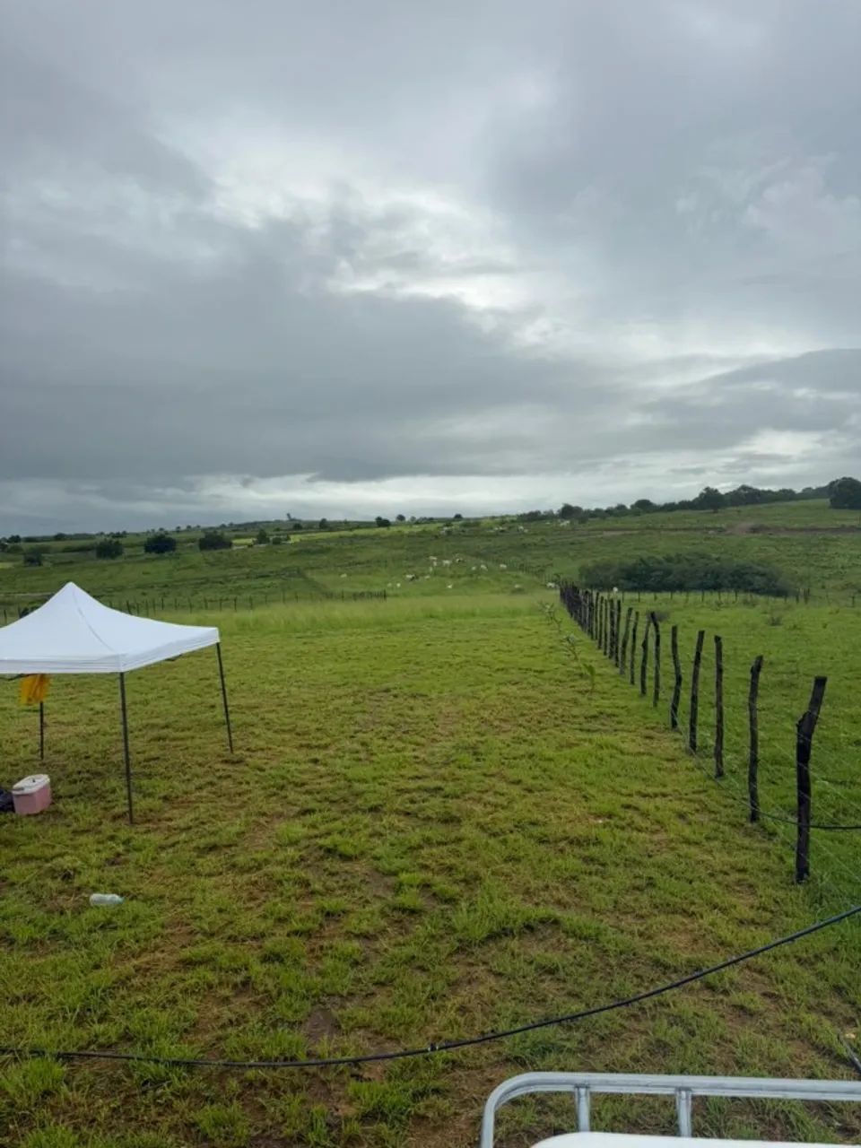 CHACARAS DO BREJO 8.000M² - Foto 2