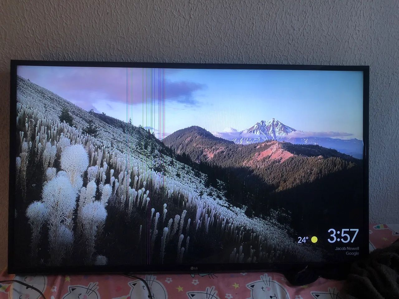 Tv 49 polegadas 