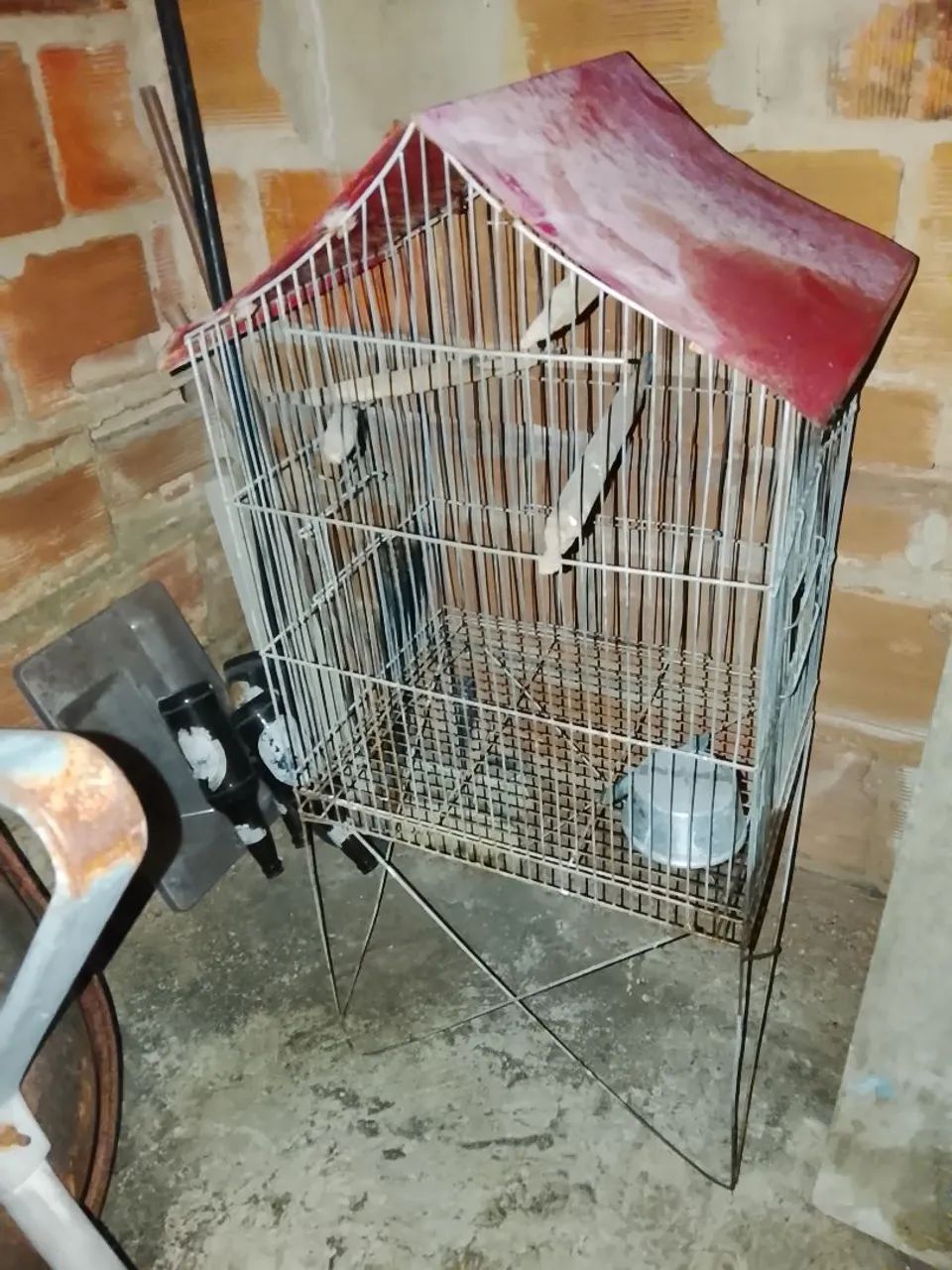 Gaiola pra Pássaros ! - Foto 2