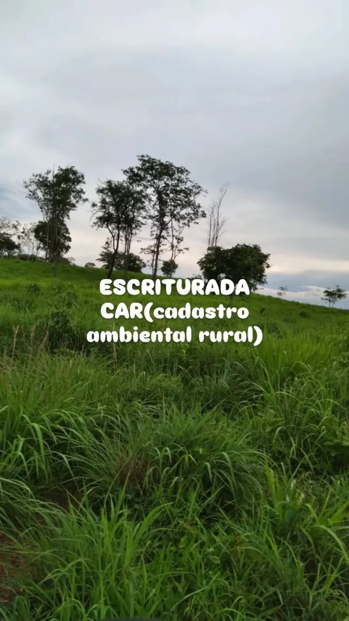FAZENDA EM JANGADA-MT - Foto 3