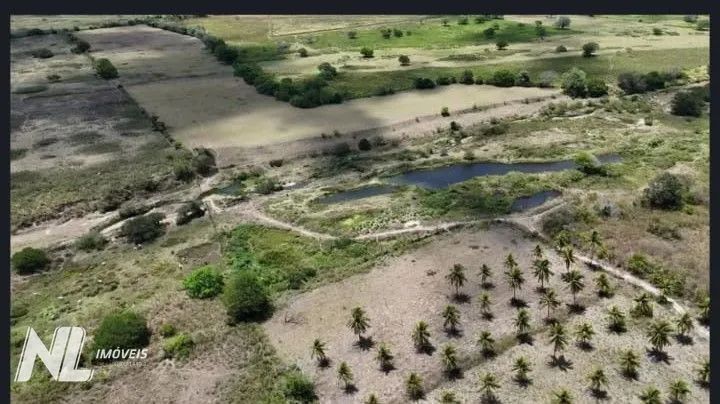 Fazenda à venda próximo a Monte Alegre com 23 hectares - Foto 3