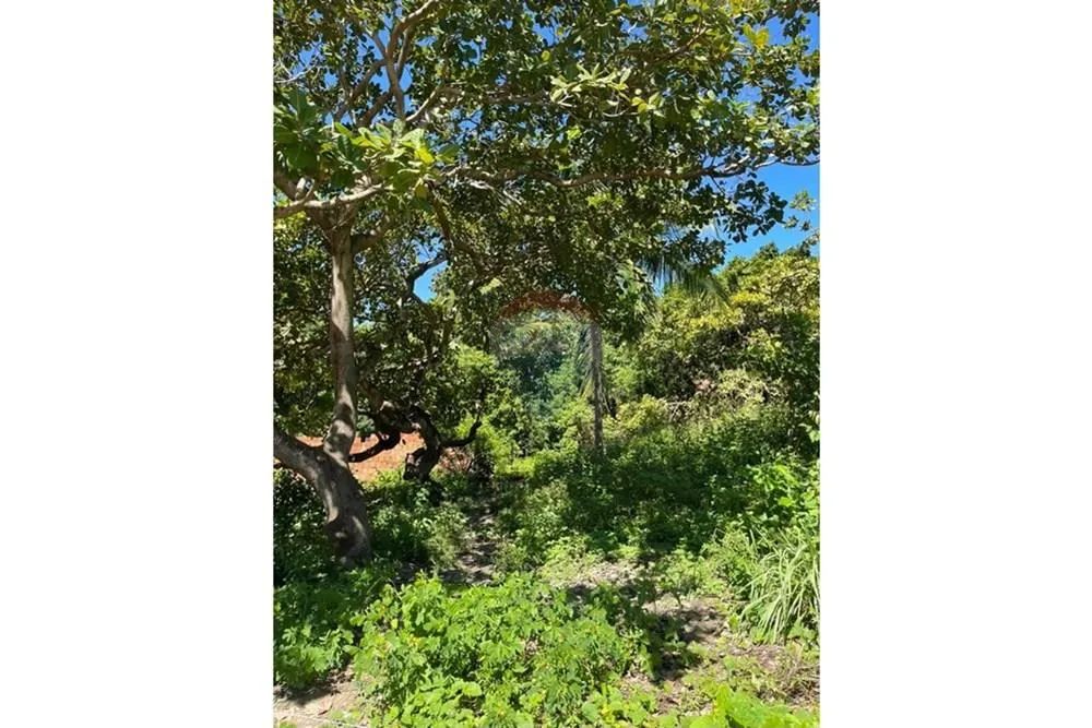 Terreno em guaxuma Maceió, AL-101 - Foto 13