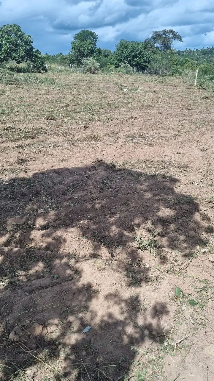 Área para Chácara  - Foto 2