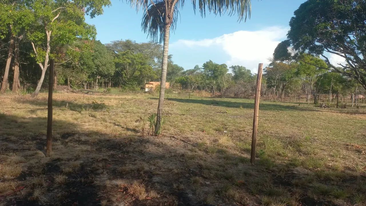 ? TERRENO À VENDA NO BAIRRO GOIABAL! ? - Foto 3