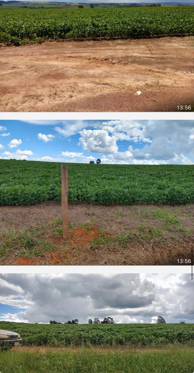 Fazenda em Sacramento altitude pra café ?  - Foto 2
