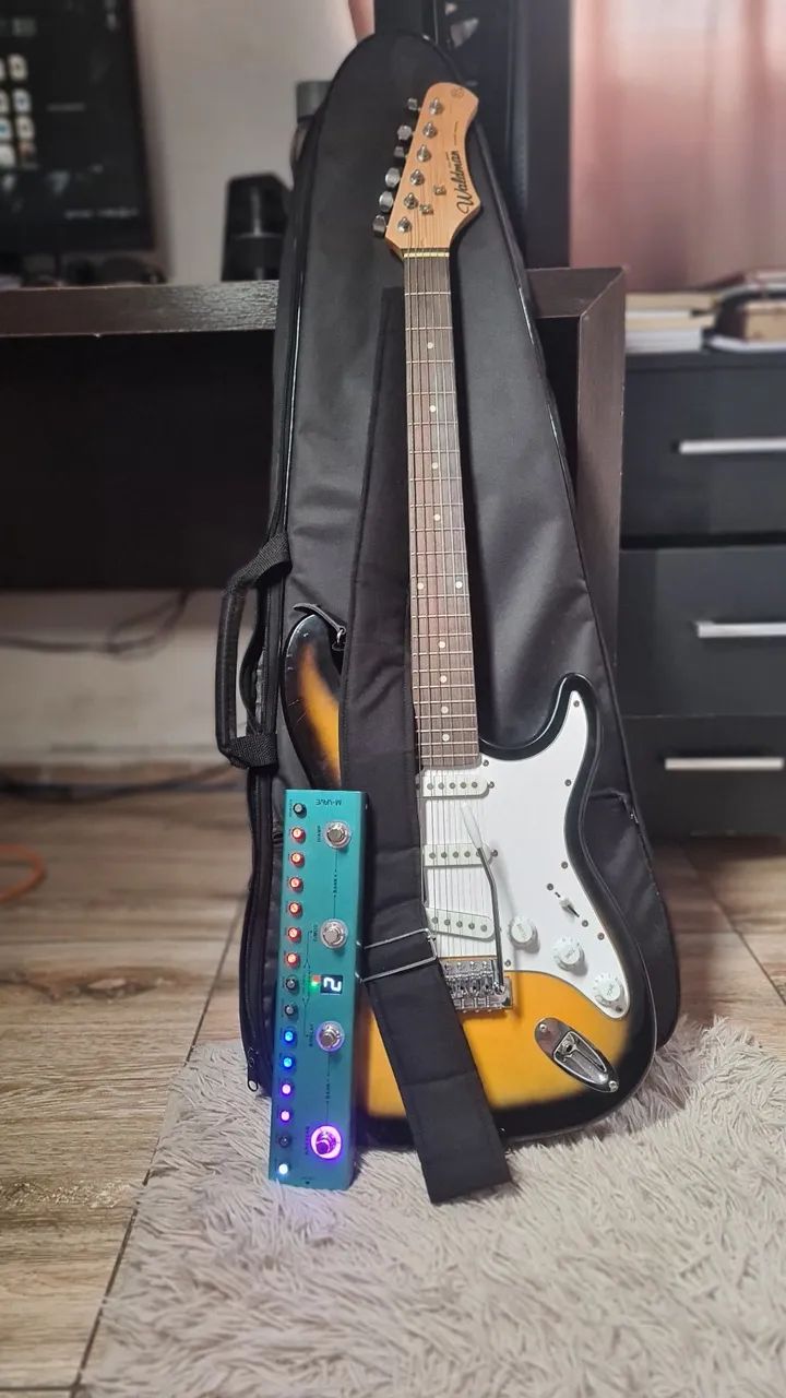 Guitarra - Waldman