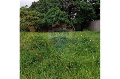 Excelente terreno (chacará) próximo a Massagueirinha - Foto 7