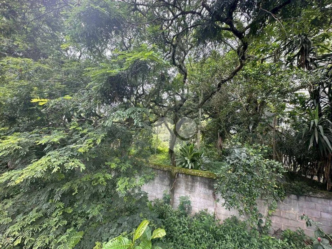 Terreno à venda, 1189 m² por R$ 800.000,00 - Vargem Grande - Rio de Janeiro/RJ - Foto 2