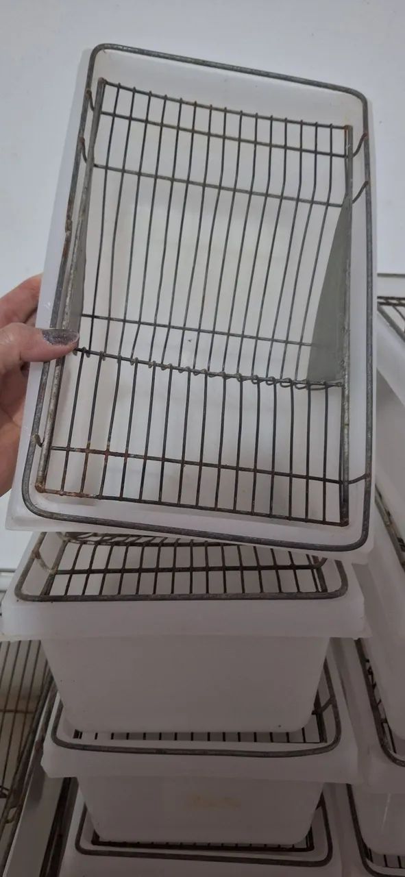 Caixa bioterio para Hamster  - Foto 2