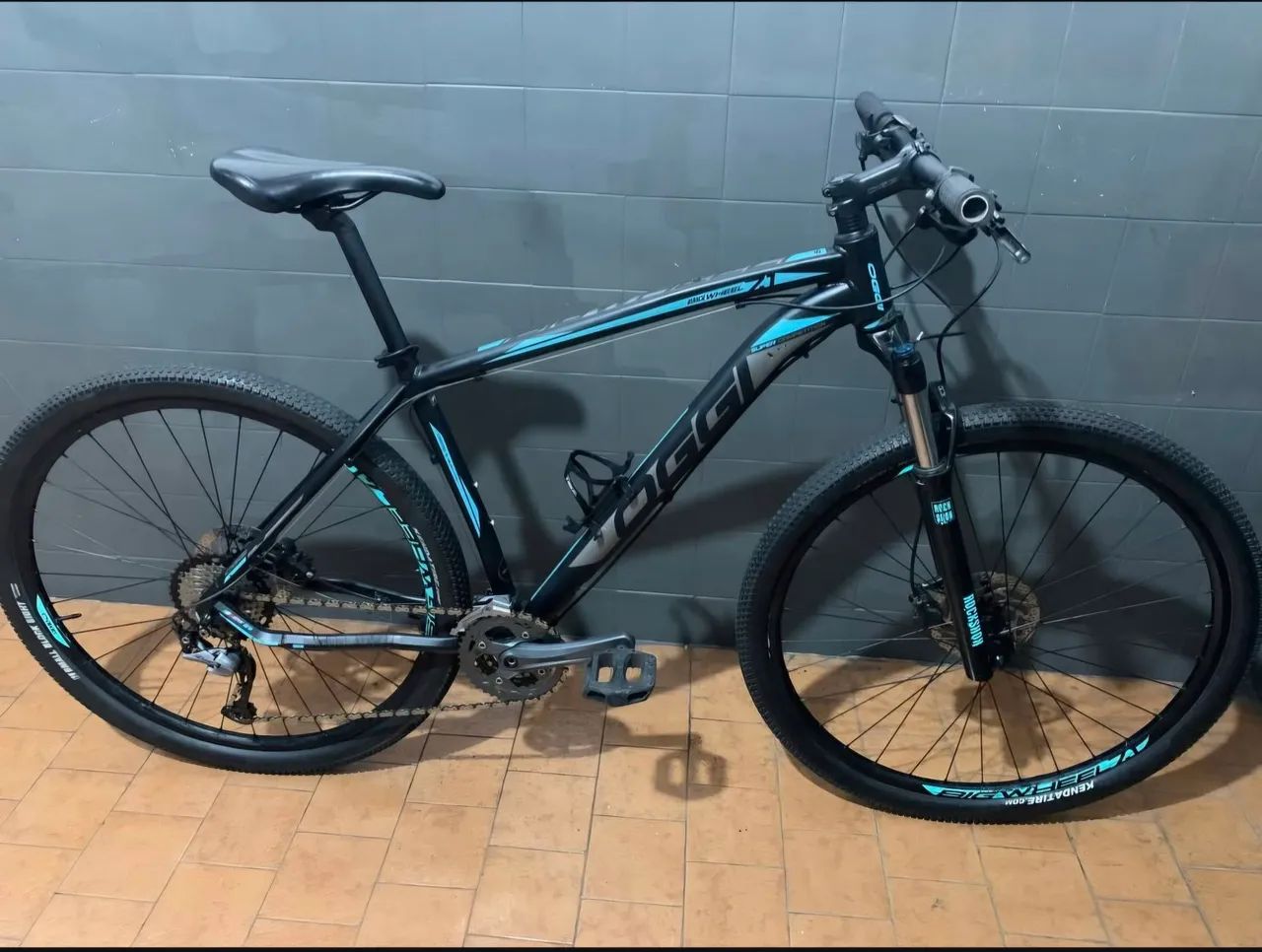 Bicicleta oggi 29