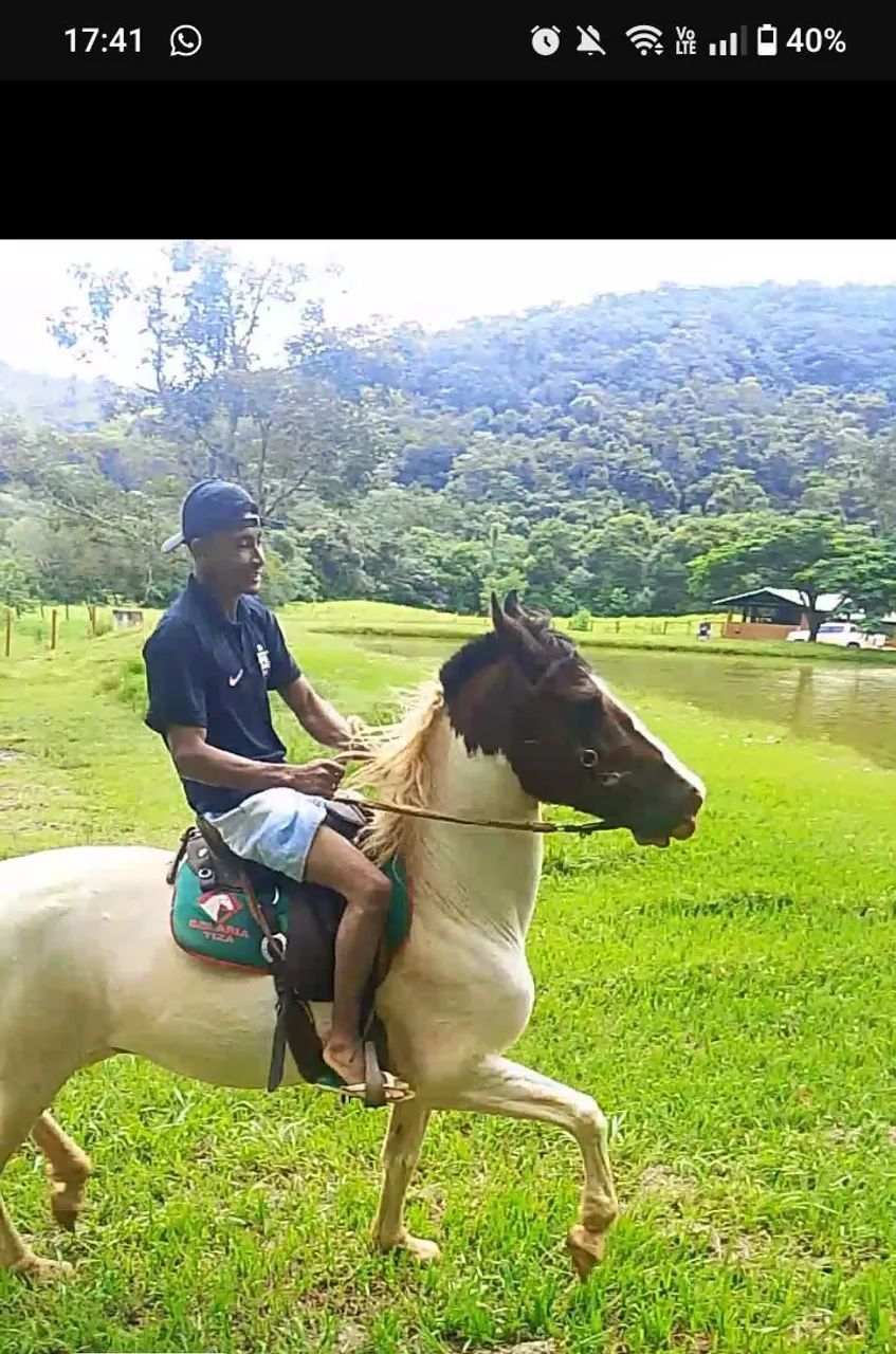 Cavalo manga larga  - Foto 6