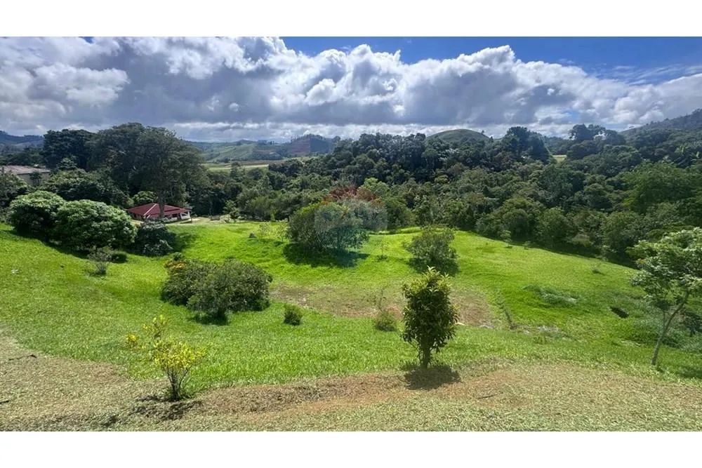 Terreno - Pedra Roxa - Foto 4