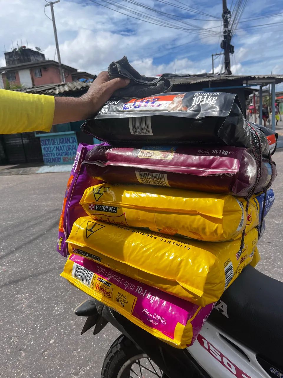 Pet delivery  - Foto 5