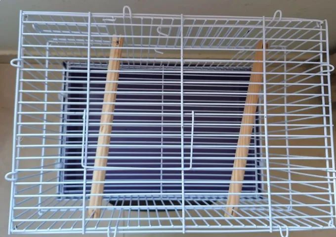 Gaiola - Foto 3