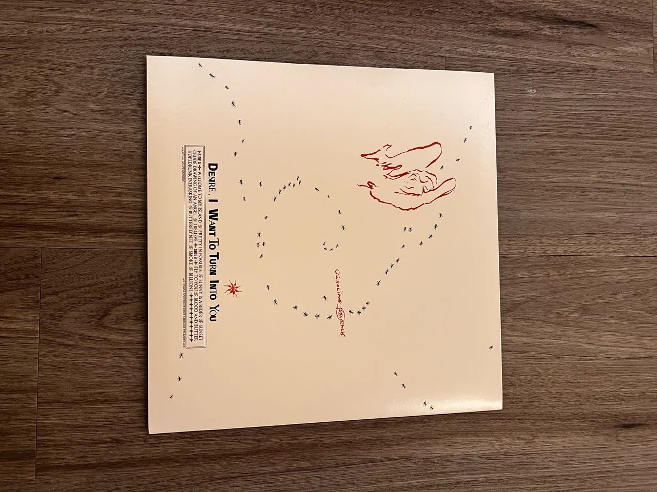 Caroline Polachek Desire I Want To Transforme Into You Vinil - Foto 3