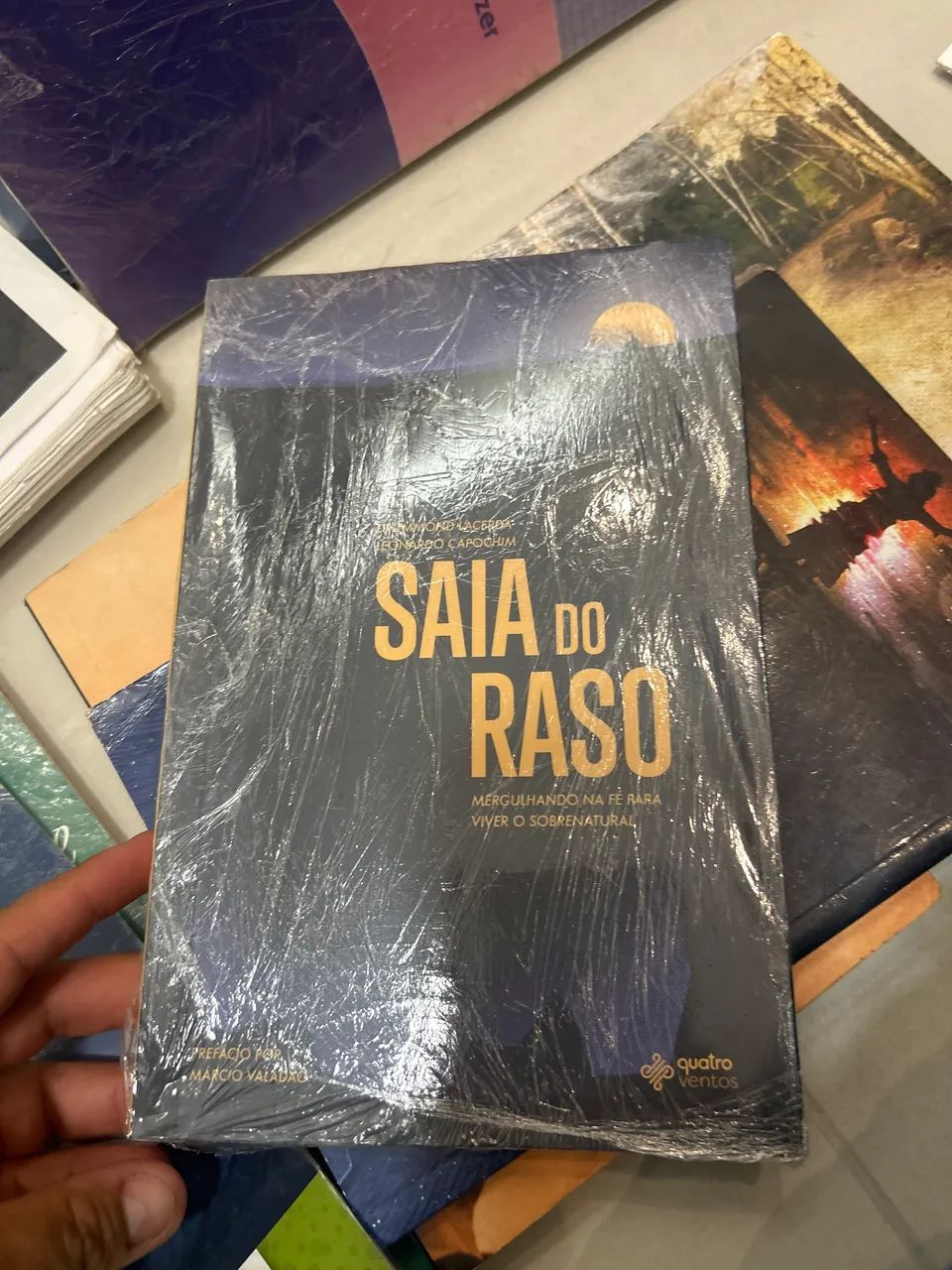 Livros479098648836843524