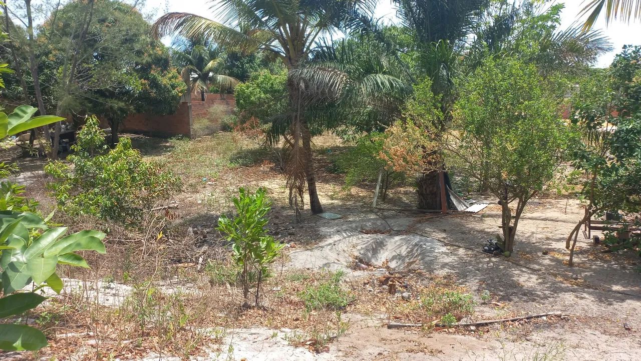 Uma linda terra, pra construí e  plantar 