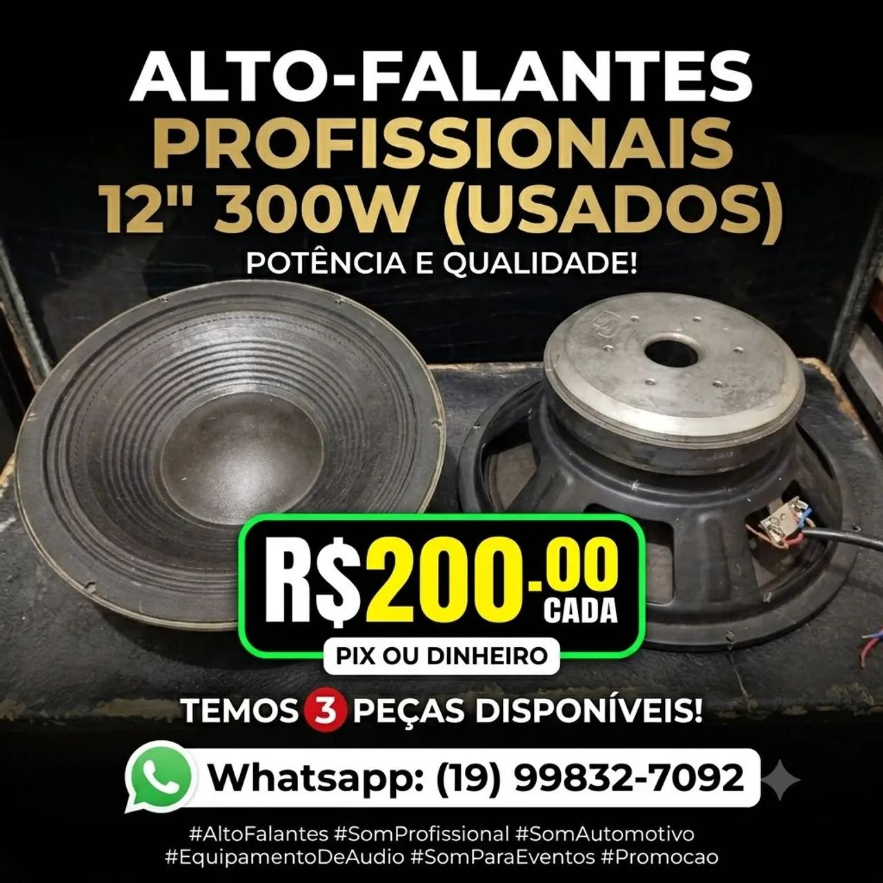 Alto falante 12 polegadas 300w tenho 2 peças , 200.00 cada