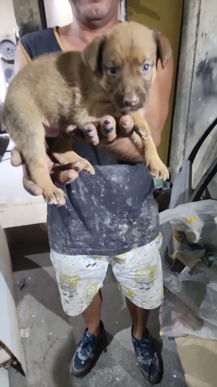 DOAÇÃO RESPONSÁVEL  - Foto 4