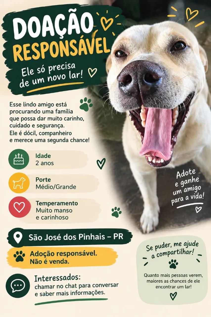 Doando cachorro (scobby) 